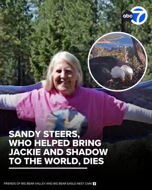 Sandy Steers death