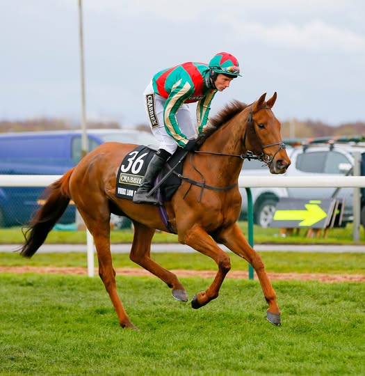 Vieux Lion Rouge Death, Obituary